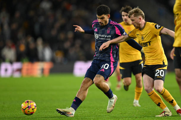 轻球员能够 轻球员能够